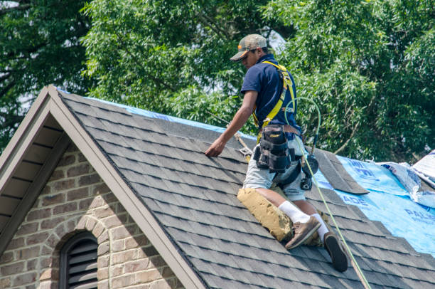 Best Roof Repair Services  in Orangetree, FL